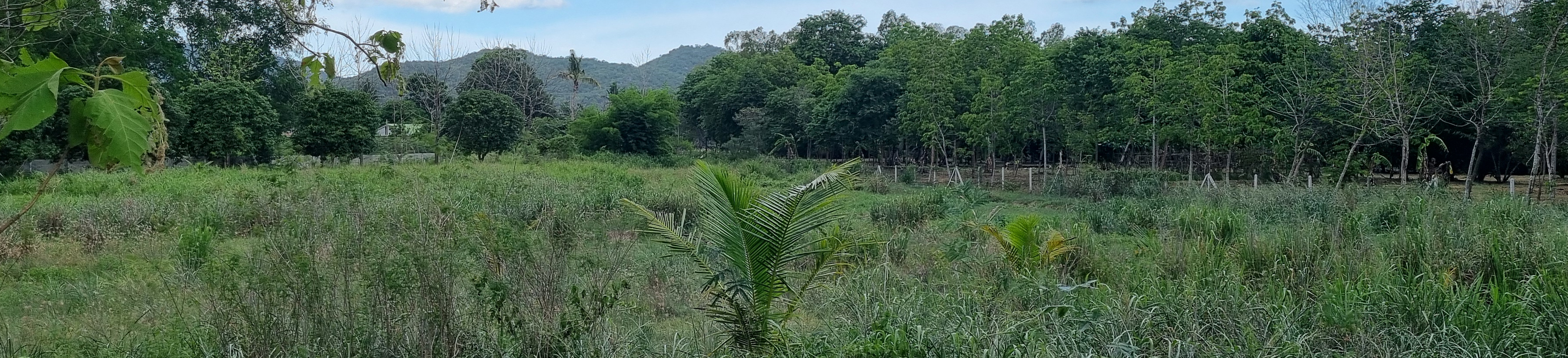 ลีโอรีสอร์ท เดอะ ริเวอร์ วิว